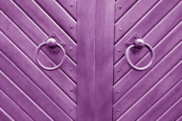 Wall Mural - Old metal door hinge on wooden door in purple tone.