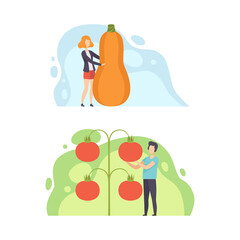 Poster - Tiny People Holding Huge Vegetables, Man and Woman Standing with Zucchini and Tomato, Healthy Diet, Eco Natural Food Concept Cartoon Vector Illustration