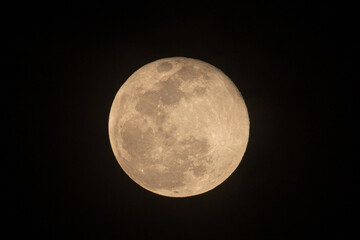 Wall Mural - Full moon in the sky at night time.