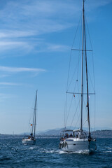 Wall Mural - Sailing boats with open white sails, blue sky and rippled sea background