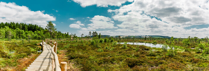 holzweg durch das schwarze moor in der rhön