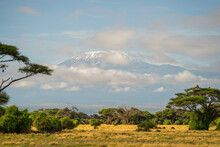 Mount Kilimanjaro From Amboseli National Park, Kenya