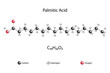 Molecular formula of palmitic acid. Chemical structure of palmitic acid. 