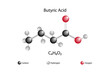 Molecular formula of butyric acid. Chemical structure of butyric acid.