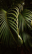 © Stephanie - Palm Tree Leaves - Green and Black Contrast Art