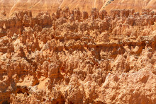 Bright Orange Rock Formations In Bryce Canyon National Park