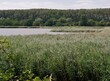 Naturschutzgebiet Spyckerscher See