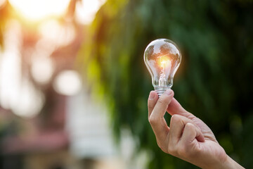 Light bulbs that grow, in the concept of energy in nature.