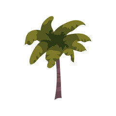 Wall Mural - Palm tree tropical. Exotic floral plant with leaves isolated. Vector