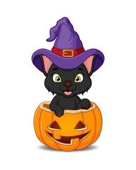 Wall Mural - Cartoon black cat in a witch hat inside in halloween pumpkin