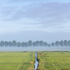 Sticker - water of ditch reflects blue sky on early summer morning in the green meadow area near amsterdam in the netherlands