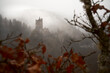 Manderscheider Burgen im dichtem Nebel im Winter in der Eifel