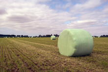 Hay Bales On The Field Packed In Green Plastic Film. The Photo Was Taken On A Cloudy Day In The Summer Season In The Dutch Province Of North Brabant.
