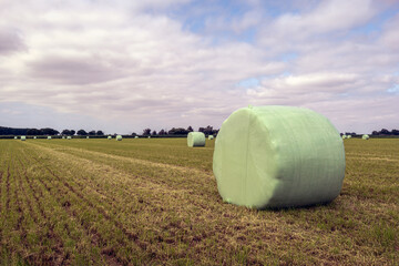 Sticker - Hay bales on the field packed in green plastic film. The photo was taken on a cloudy day in the summer season in the Dutch province of North Brabant.