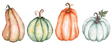 Big Watercolor Collection Of Multicolored Pumpkins, Four Different Pumpkins Isolated On White Background. Illustration For Harvest, Thanksgiving, Halloween. Set For Decor, Postcards, Posters, Etc.