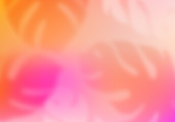 Leinwandbilder - Colorful Tropical Gradient Background. Abstract Vector with Tropical Elements Overlay. Blurred Monstera Leaves