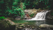 Nature Jungle Waterfall River Green Rocks Branch Tarzan 