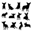 Chihuahua dog vector silhouettes Illustration Eps 10