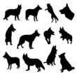 set of German Shepherd Silhouette vector Illustration Eps10