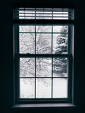 Fototapeta Na ścianę - snow through the window