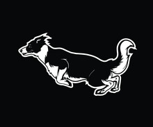 Border Collie Dog Breed Cartoon Black White Illustration Vector Stock Design