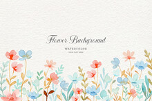 Colorful Wild Floral Background With Watercolor