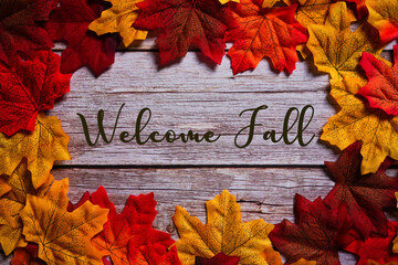 Welcome fall sign on wooden background surrounded by colorful maple leaves. Autumn & fall composition.