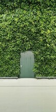 A Door And A Green Wall Made Of Living Plants