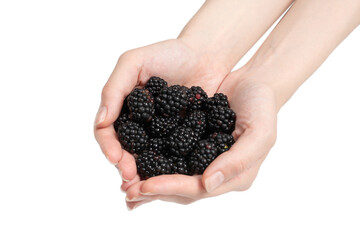 Blackberry kept in hands isolated on white background.