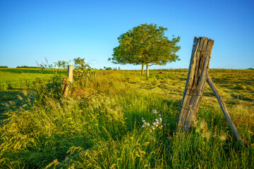 Wall Mural - Paysage campagne 971