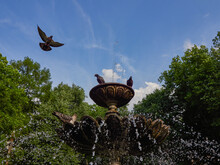 Fountain In A Summer Sunny Park. Streams Of Water Pouring Down. Two Pigeons Are Sitting On The Fountain. There Are Many Deciduous Trees Around.