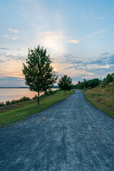 Wall Mural - Road at the Markkleeberger lake at sunset in summer