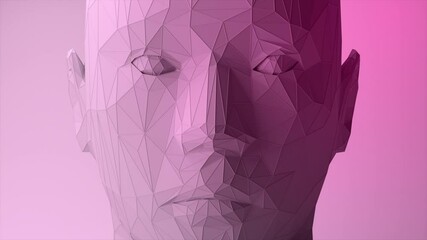 Poster - Creates a polygonal digital human face. Increase polygons and quality. Seamless loop 3d animation