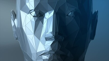 Poster - Creates a polygonal digital human face. Increase polygons and quality. Seamless loop 3d animation