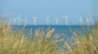 © Lois GoBe - Scroby Sands Wind Farm located in the North Sea off Norfolk coast in the distance, photographed through the grassy sand dunes at Caister on Sea near  Great Yarmouth, Norfolk UK.