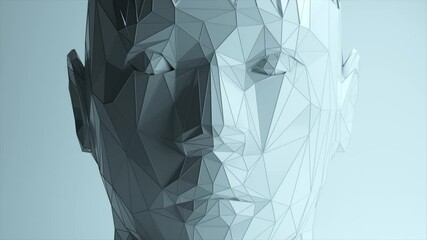 Poster - The effect of the appearance of a polygonal digital human face. Artificial intelligence.