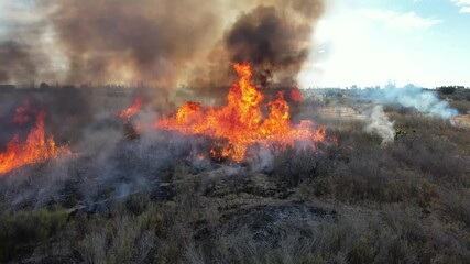 Poster - Firefighters put out a fire in the forest. Aerial view.