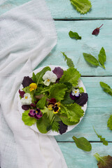 Poster - colorful leafs of lettuce, rucola and spinach