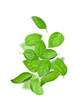 © Pixel-Shot - Flying basil leaves on white background