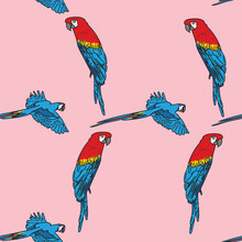 Vector Pink Background Tropical Birds, Parrots, Macaw, Exotic Cockatoo Birds. Seamless Pattern Background