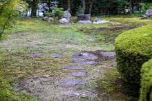 石川県にある鈴木大拙館周辺の自然のある風景 Scenery With Nature Around D.T. Suzuki Museum In Ishikawa Prefecture