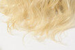 close up of wavy black to blonde two tone ombre style human hair lace wigs on mannequin head