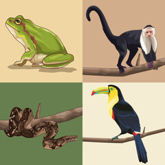 Sticker - realistic jungle animals