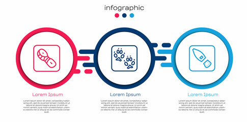 Set line Human footprints shoes, Fox paw and . Business infographic template. Vector