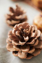 Pine Cones On A Wooden Background