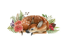 Deer Cub In Flowers Decor. Beautiful Fawn Hand Drawn Watercolor Image. Sleeping Bambi Illustration. Wild Young Deer Animal With White Back Spots In The Wild Herbs, Flowers. White Background