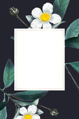 Wall Mural - Blank frame vector on summer botanical pattern