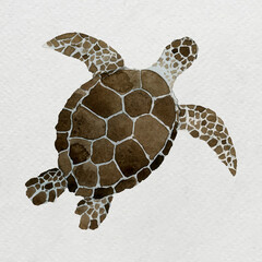 Sticker - Watercolor painted sea turtle on white canvas vector