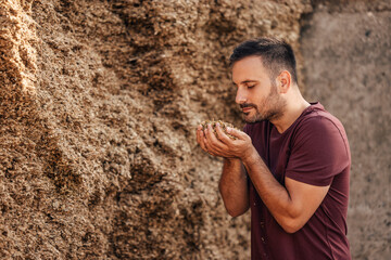 Wall Mural - Adult man, making sure he produced the best wheat.