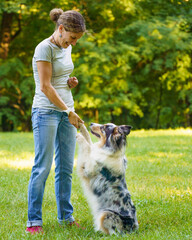 Vertical shot of playful mixed breed dog giving paw to happy middle aged woman while walking in nature, positive female learning new commands with Australian Shepherd during walk in park on sunny day